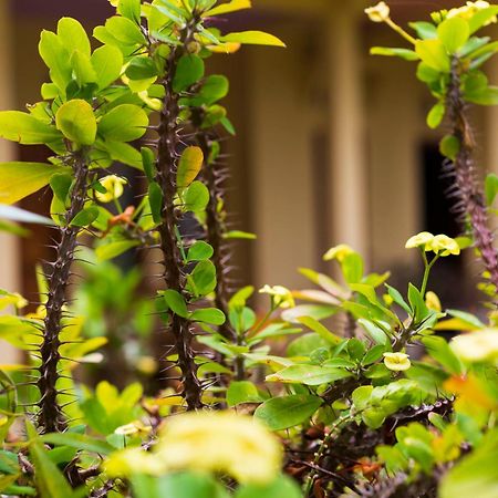 Pondok Guru Bakti Cottage Senaru Zewnętrze zdjęcie